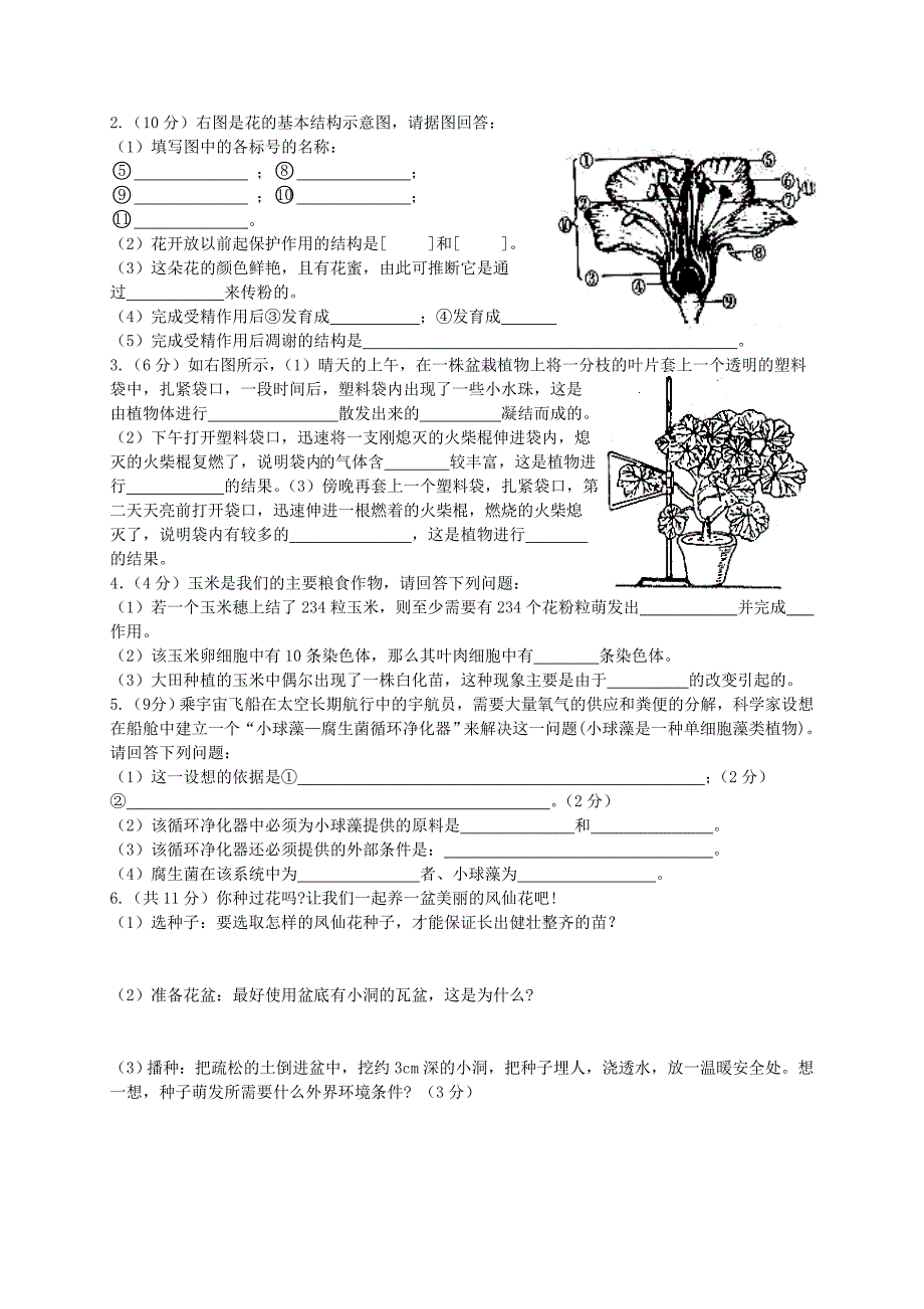 新人教版七年级上生物期末试题及答案.doc_第3页