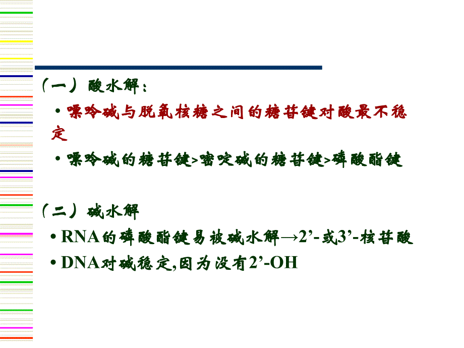 第13-14章核酸的性质及研究方法_第4页