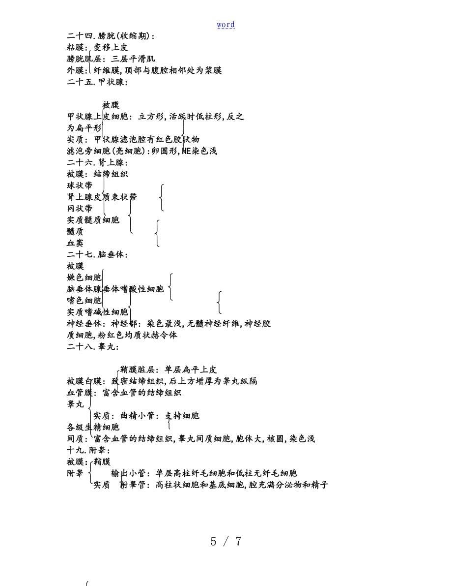 组织学切片结构_第5页