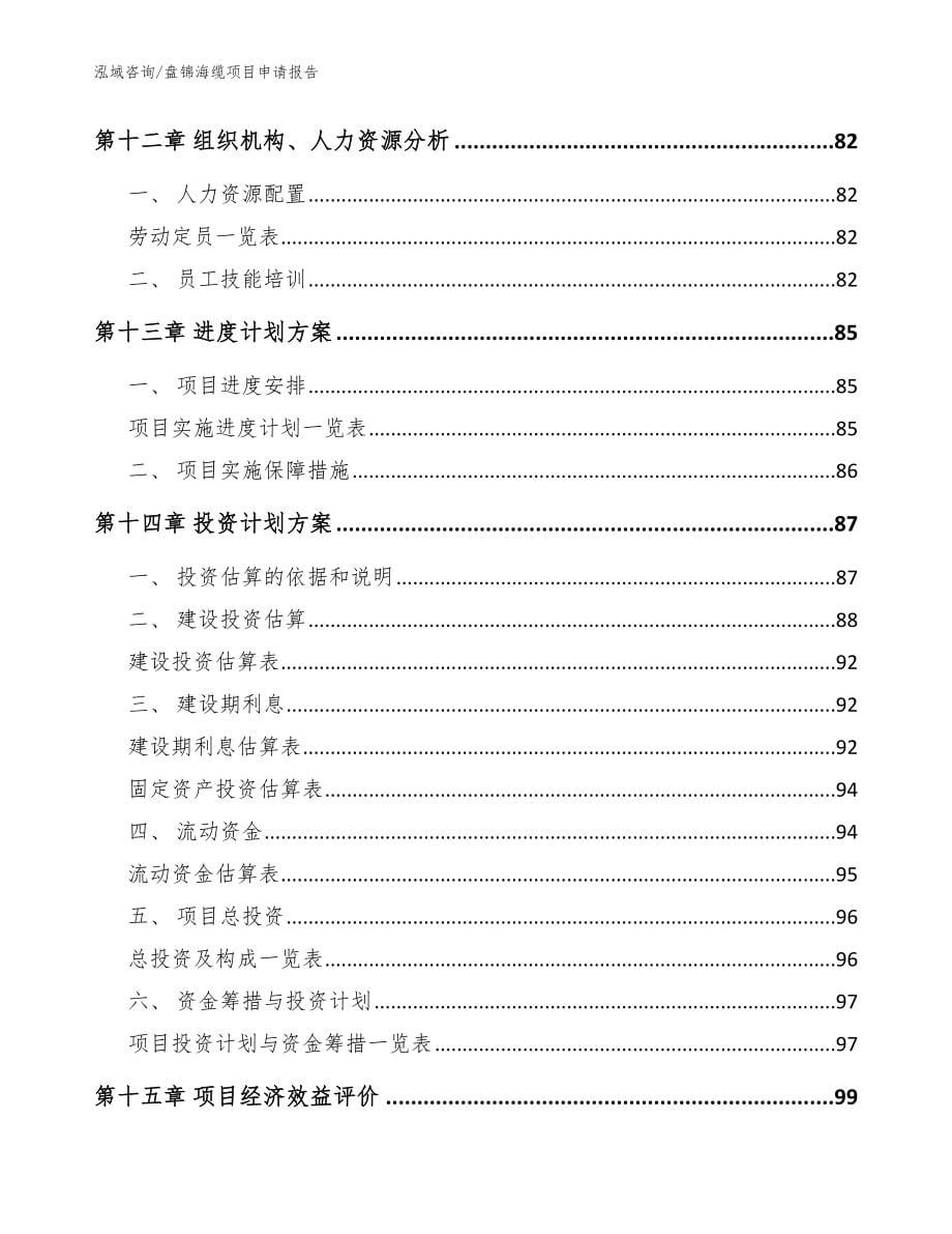 盘锦海缆项目申请报告模板范本_第5页