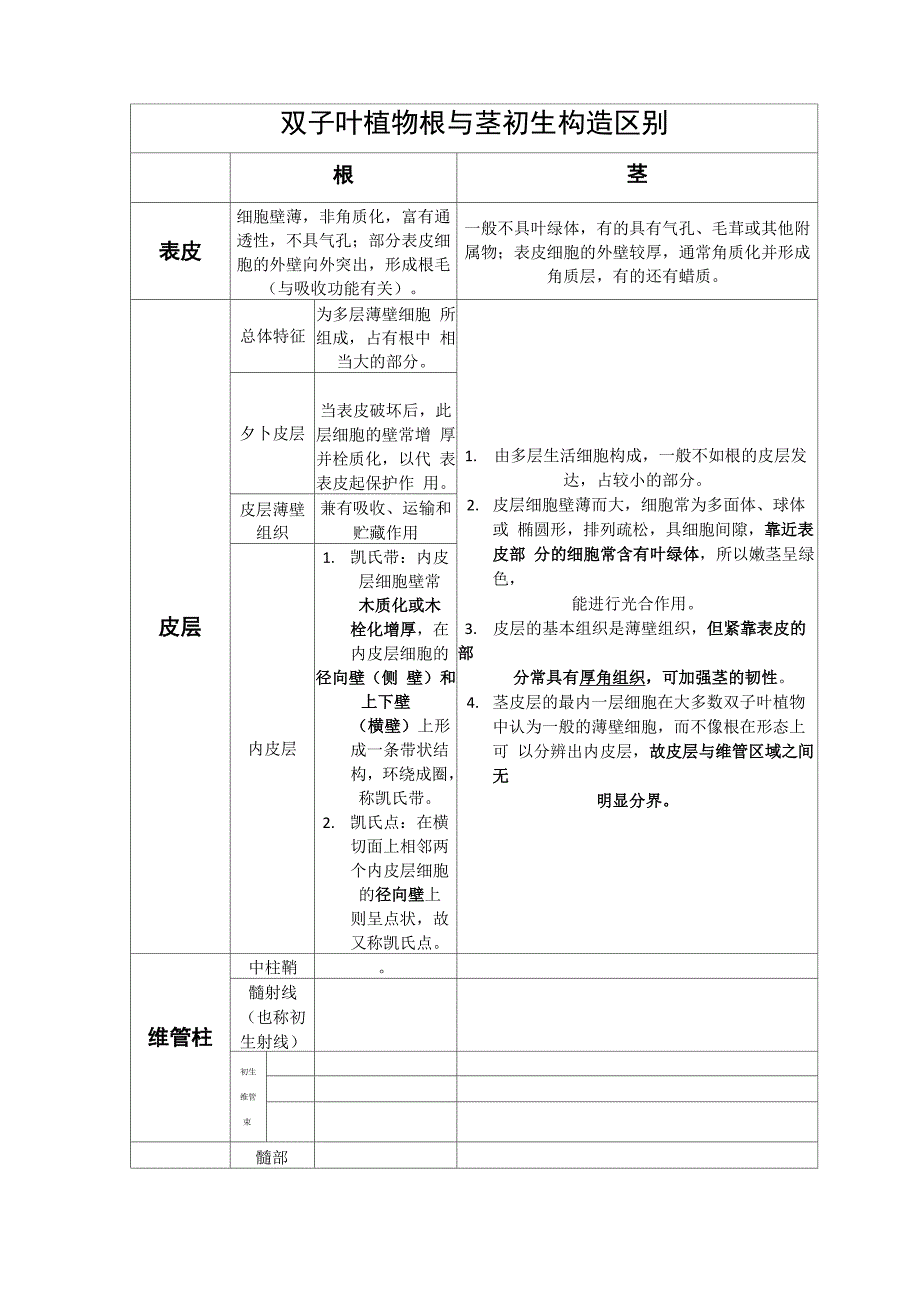 双子叶植物根与茎初生构造区别_第1页