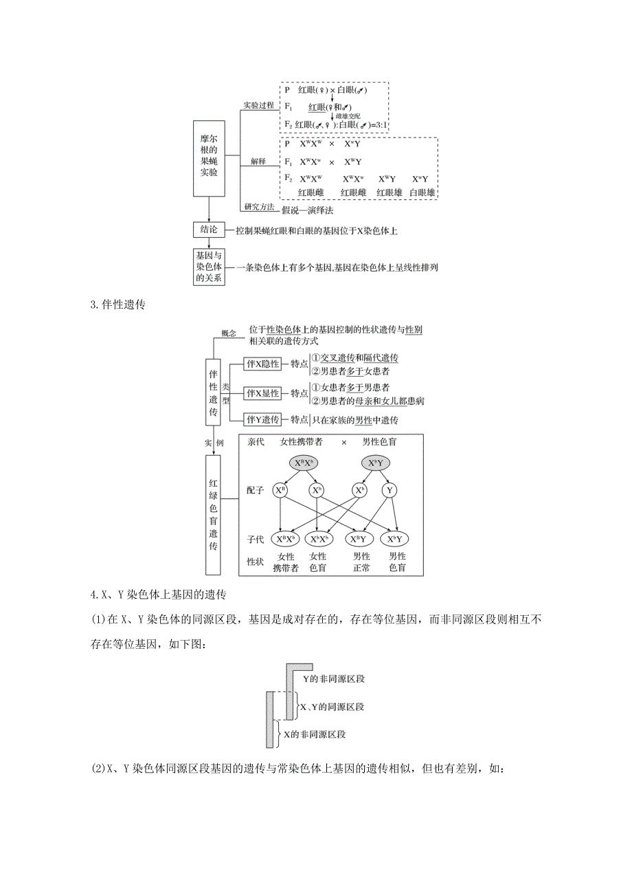 2020版高考生物总复习第13讲伴性遗传和人类遗传病教案中图版.docx_第3页