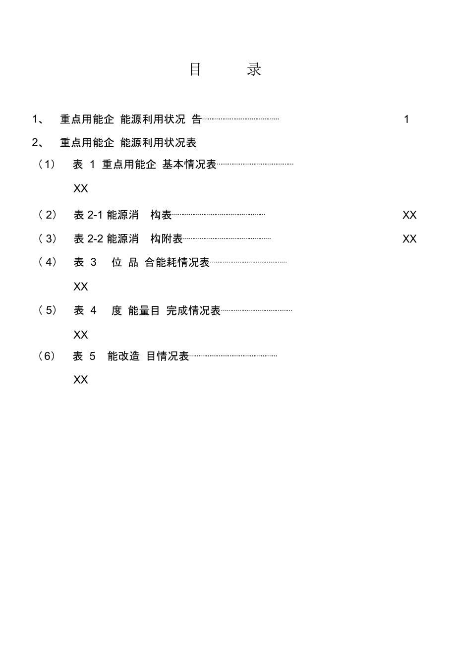 重点用能企业能源利用状况报告_第5页