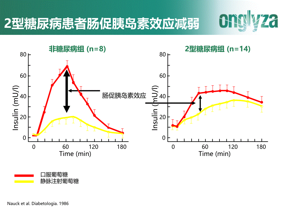 沙格列汀的作用机制.ppt_第4页