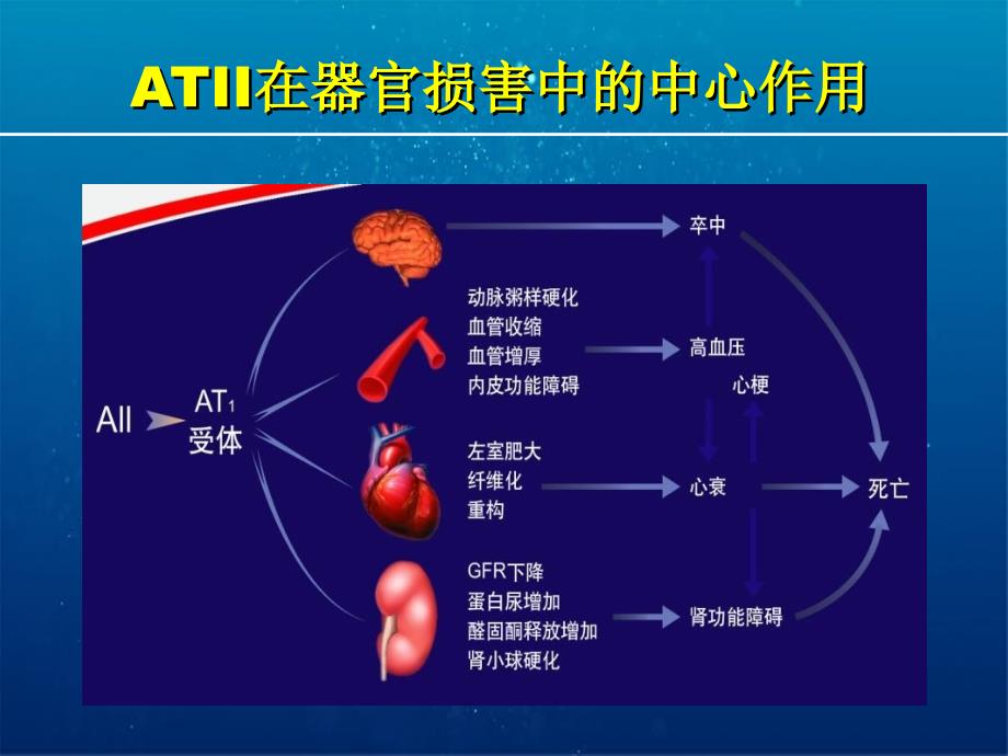 ARB科素亚在肾脏病治疗中的优势_第3页