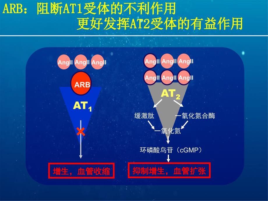 ARB科素亚在肾脏病治疗中的优势_第4页