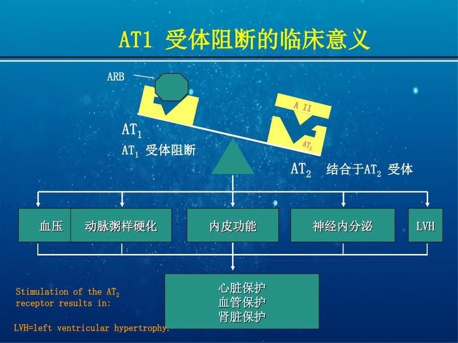 ARB科素亚在肾脏病治疗中的优势_第5页