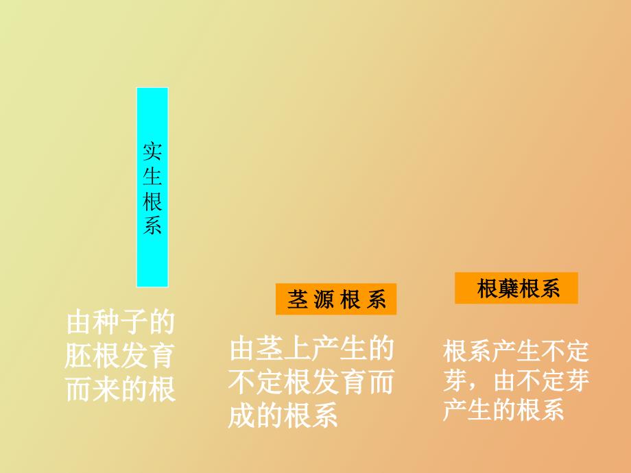 果树生长发育规律根和芽_第3页