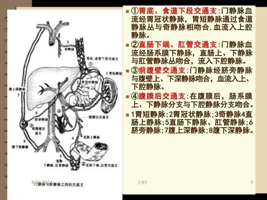 门静脉高压症食道胃底静脉曲张的护理_第5页