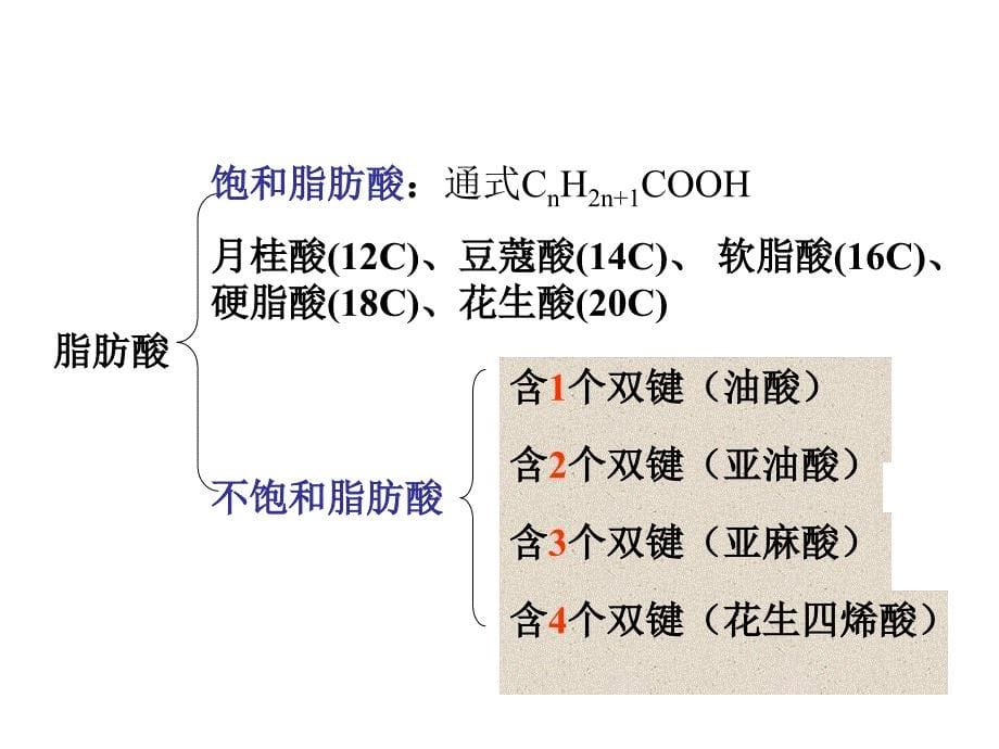 四脂类和生物膜_第5页