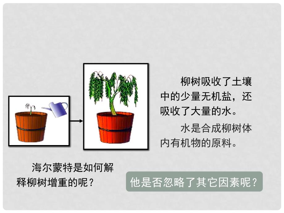 七年级生物上册 3.5.1 光合作用吸收二氧化碳释放氧气课件 （新版）新人教版_第3页