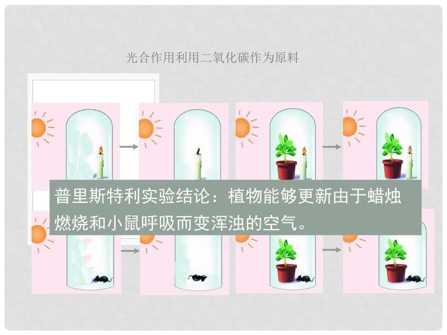 七年级生物上册 3.5.1 光合作用吸收二氧化碳释放氧气课件 （新版）新人教版_第5页