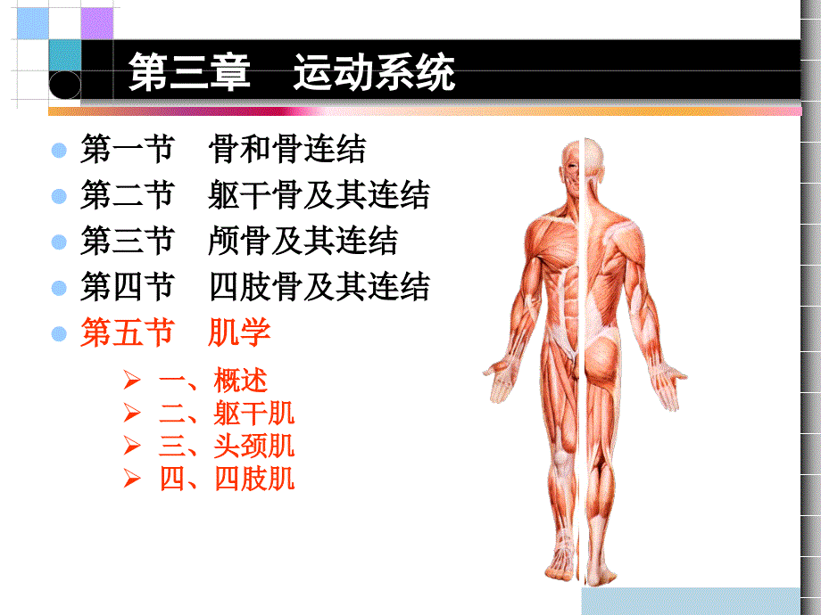 第三章 运动系统肌学_第1页