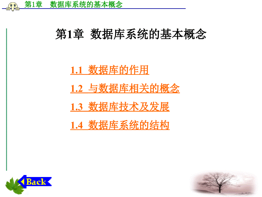 数据库技术及应用数据库系统的基本概念课件_第1页