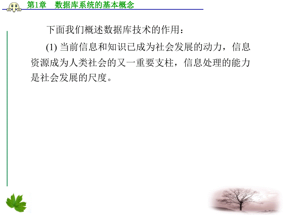 数据库技术及应用数据库系统的基本概念课件_第4页