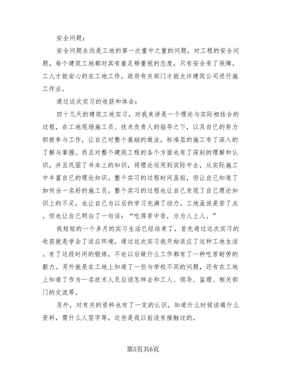 实习生实习情况总结模板（3篇）.doc_第5页