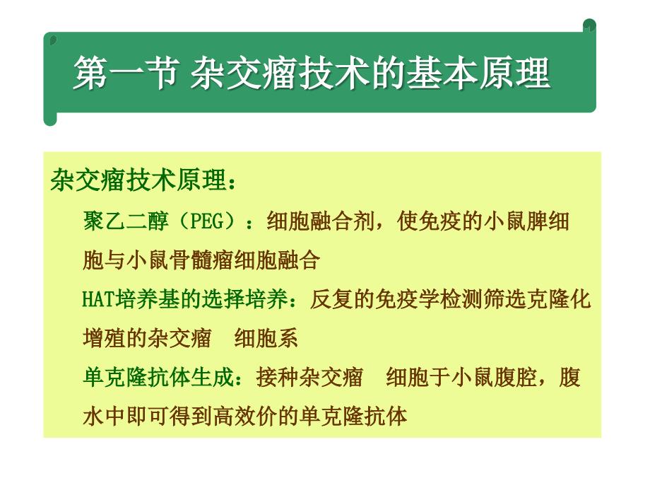 单克隆抗体与基因工程抗体的制备_第4页