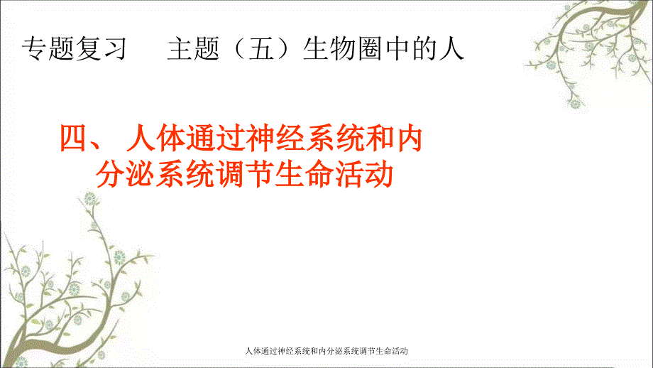 人体通过神经系统和内分泌系统调节生命活动_第1页