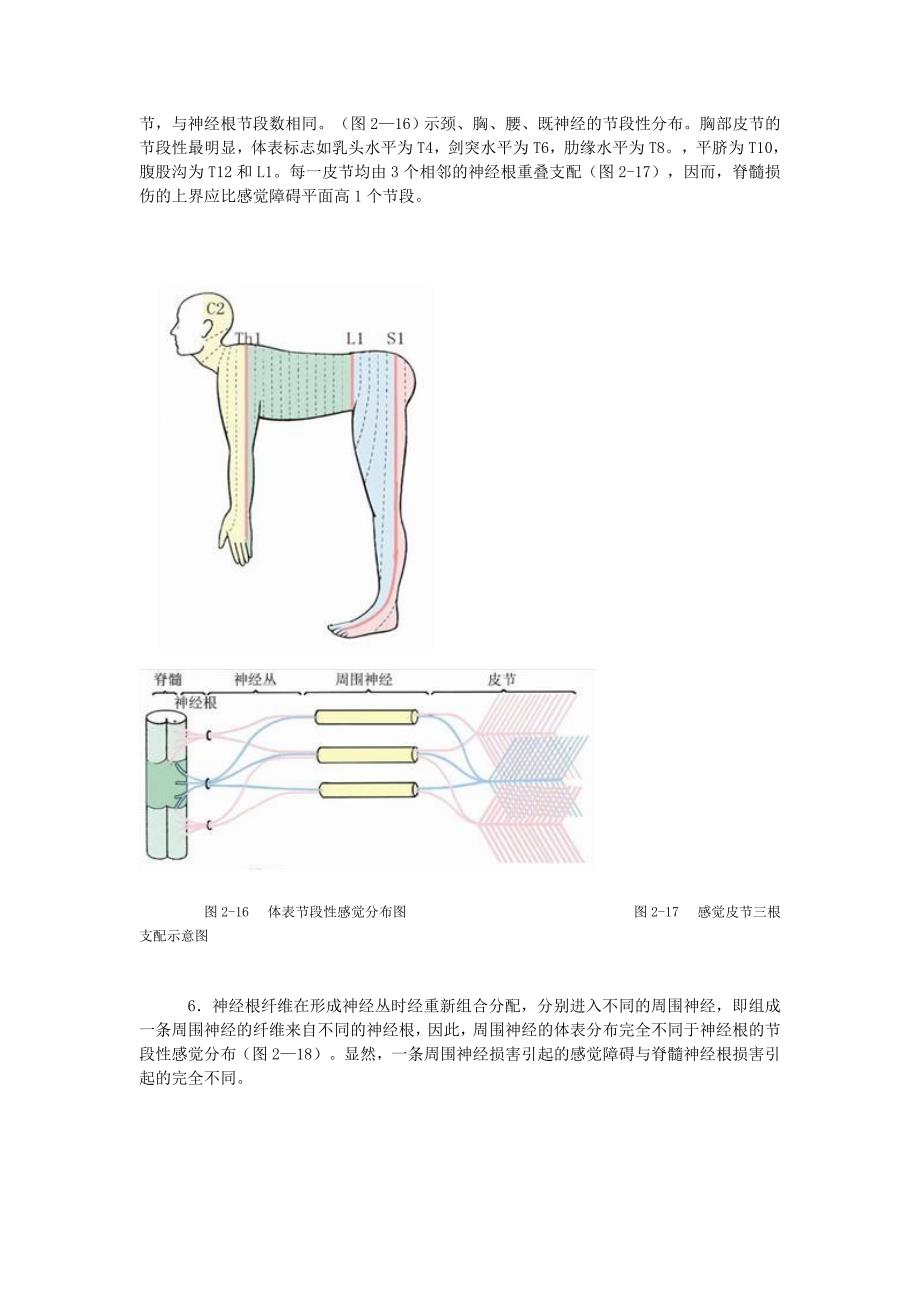 躯体感觉障碍.doc_第3页