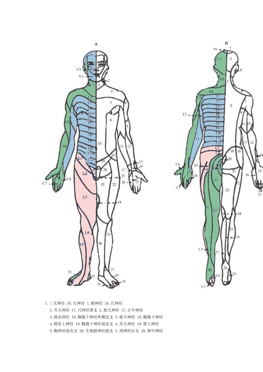 躯体感觉障碍.doc_第4页