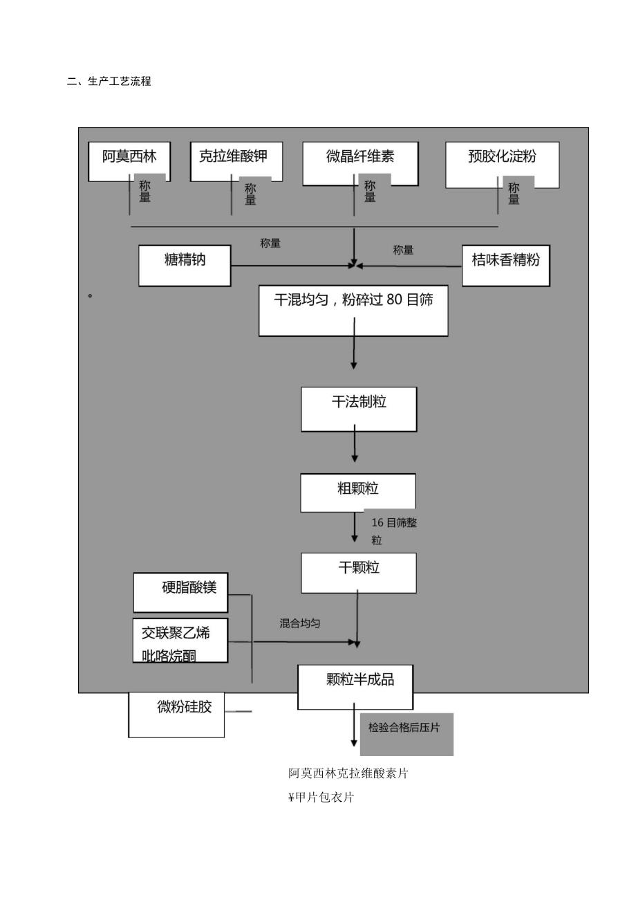 阿莫西林工艺规程_第3页