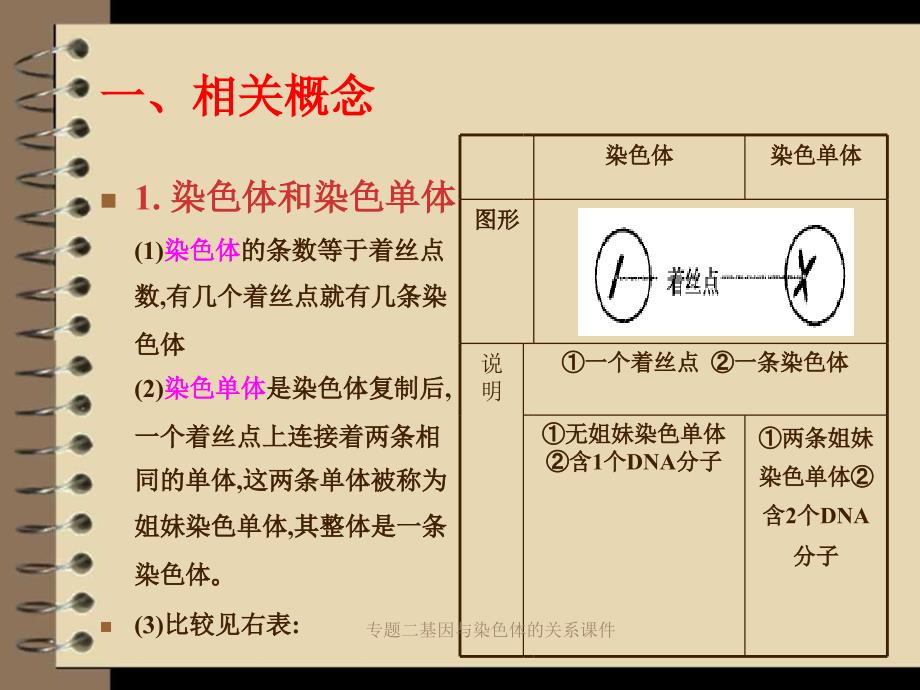 专题二基因与染色体的关系课件_第2页