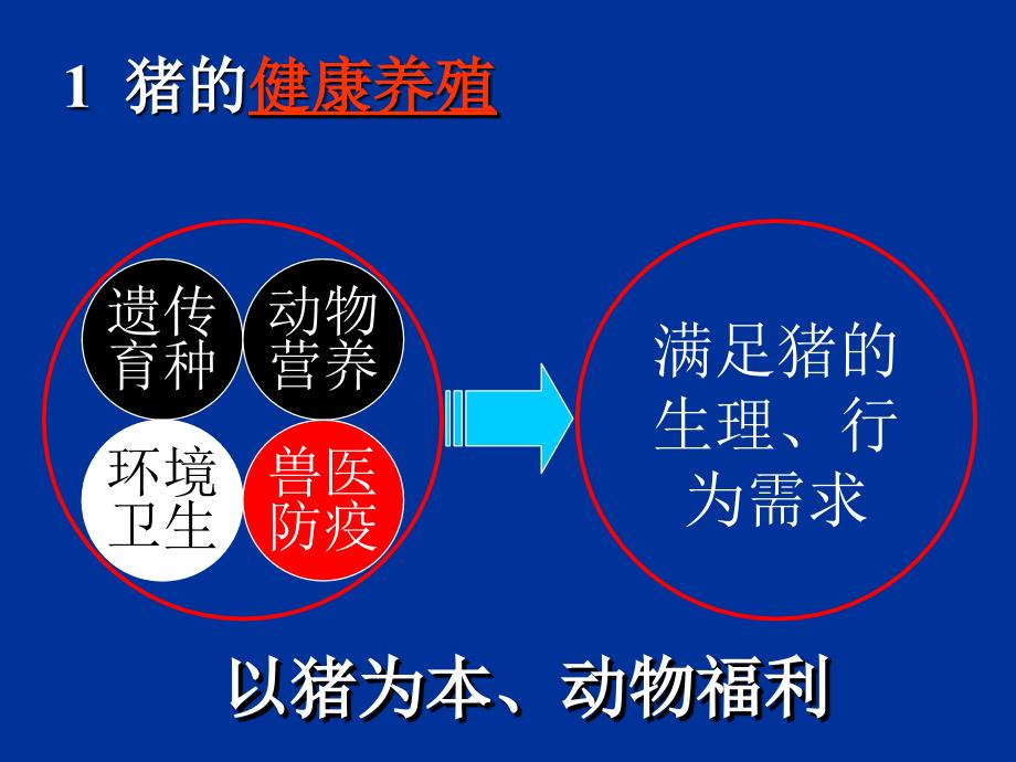 医学专题：中草药饲料添加剂重点_第3页