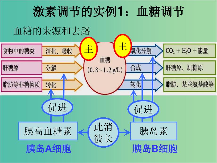 江西省南昌县高中生物 第二章 动物和人体生命活动的调节 2.2 通过激素的调节课件 新人教版必修3.ppt_第4页