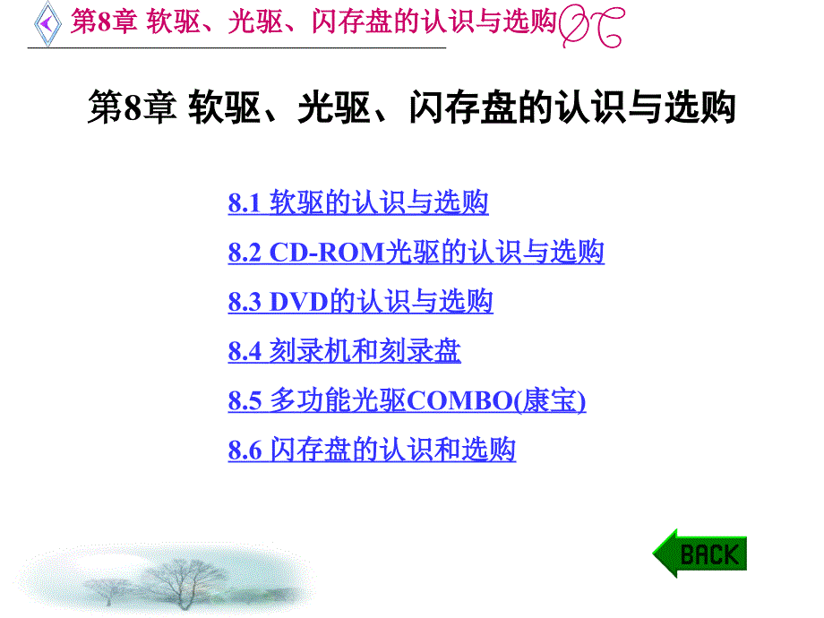 软驱光驱闪存盘的认识与选购_第1页