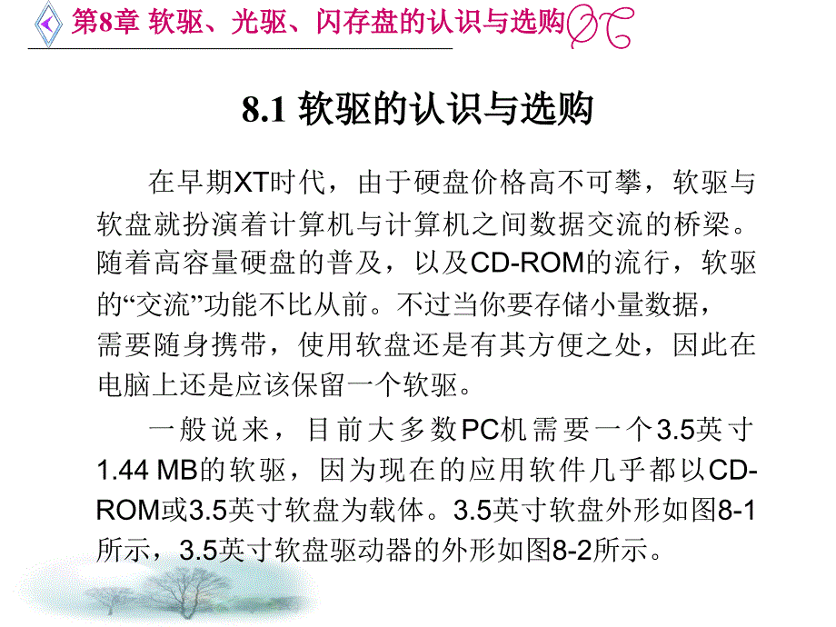 软驱光驱闪存盘的认识与选购_第2页