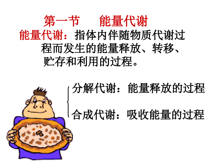 生理学能量代谢_第2页