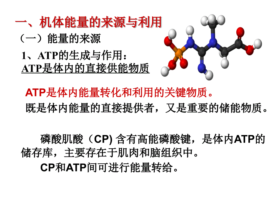 生理学能量代谢_第4页