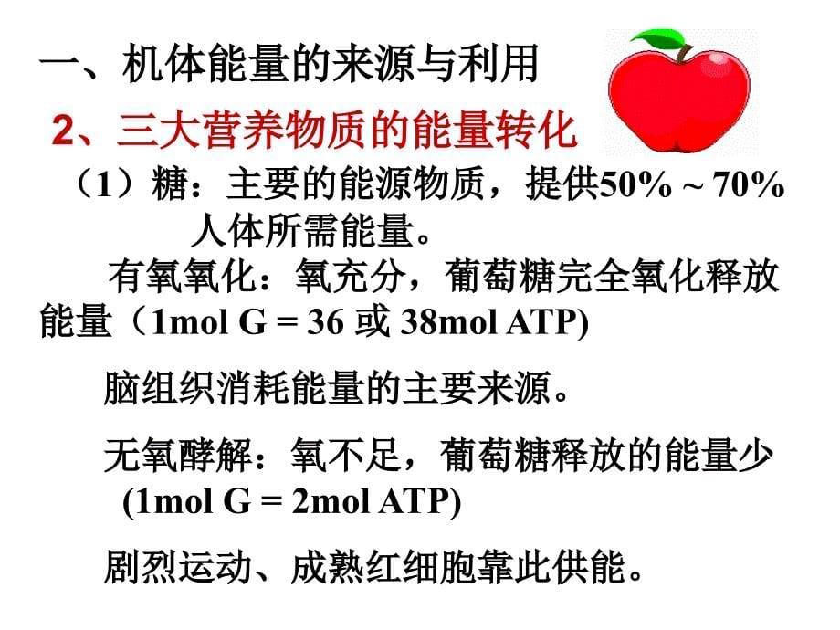 生理学能量代谢_第5页