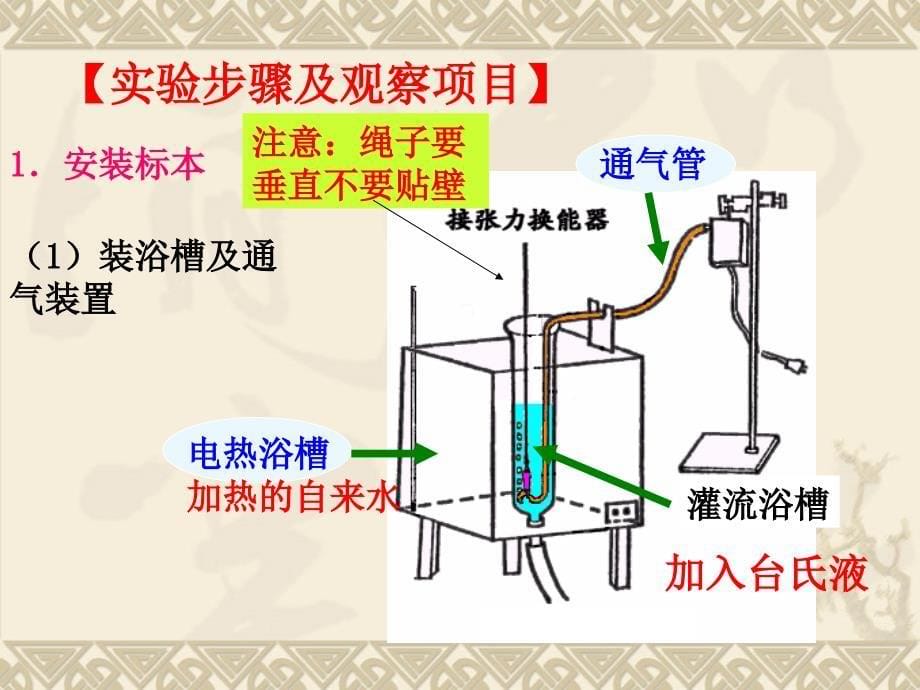 影响消化道平滑肌活动的因素参考PPT_第5页