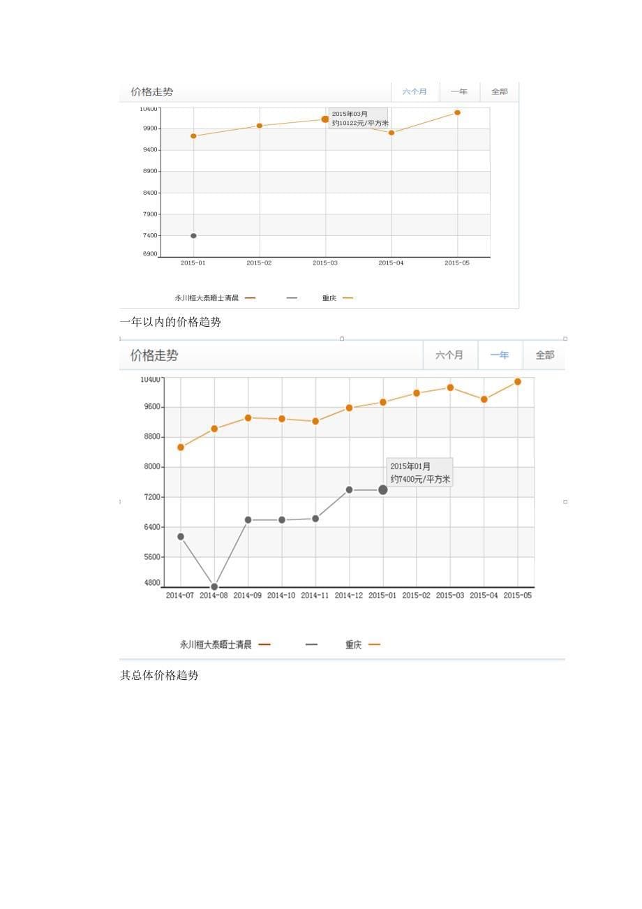 房地产项目策划方案_第5页