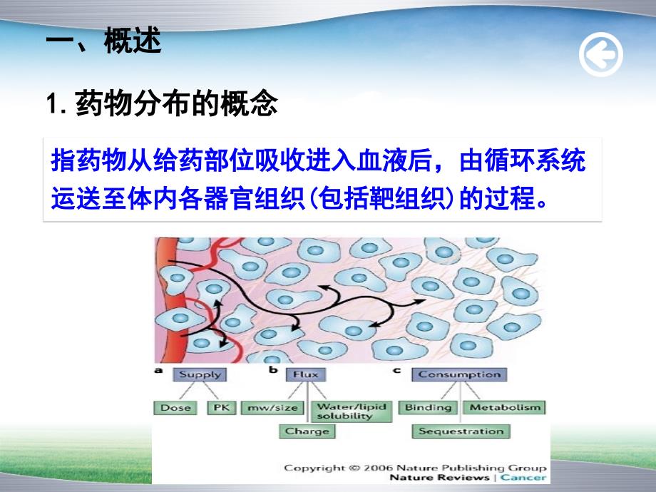 药物动力学课件：药物分布_第3页