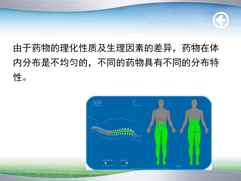 药物动力学课件：药物分布_第5页