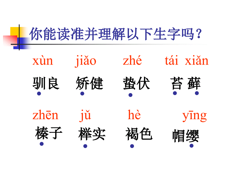 小学五年级上册语文第十课松鼠PPT课件2_第2页