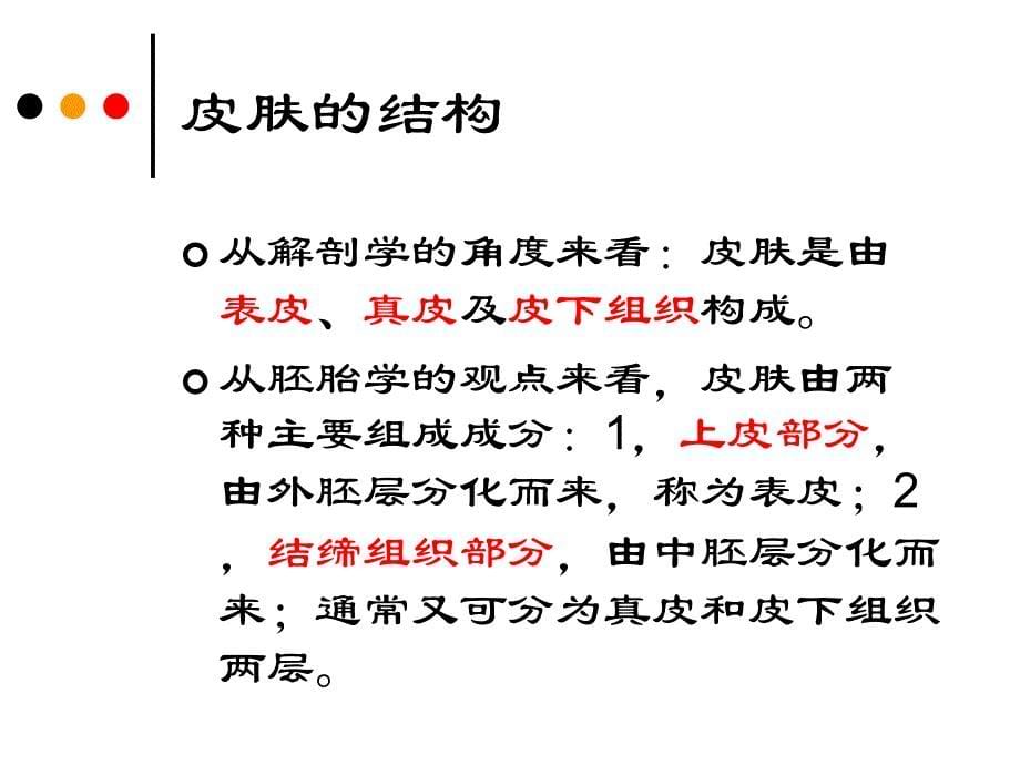 第二章皮肤的解剖和组织结构课件_第5页