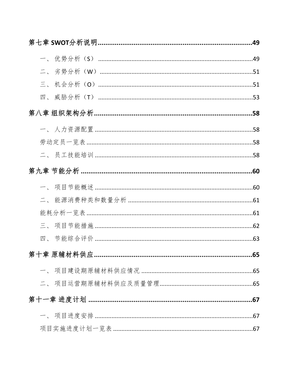 晋中起动电机项目研究报告(DOC 84页)_第4页