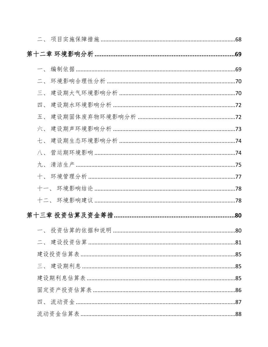 晋中起动电机项目研究报告(DOC 84页)_第5页