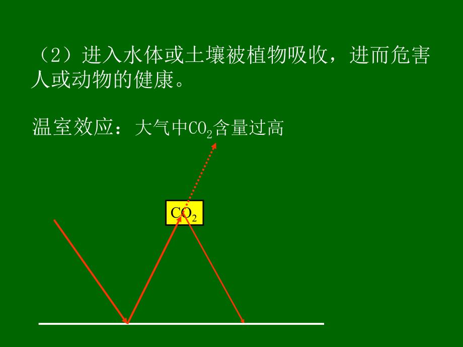 环境污染的危害PPT课件_第4页