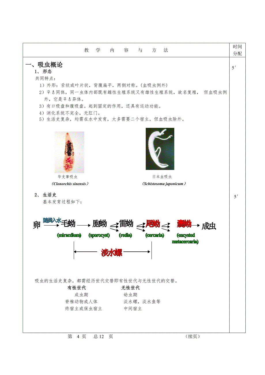 人体寄生虫学授课教案14p.docx_第2页