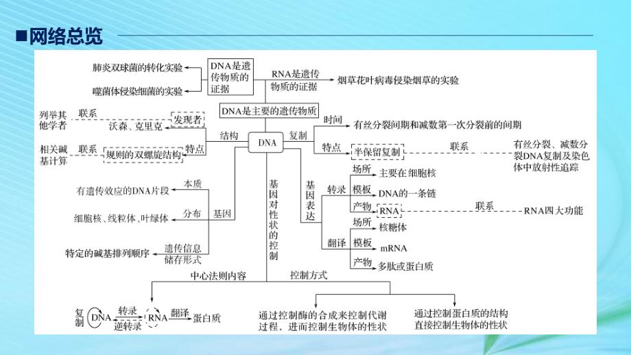 （江苏专用）高考生物二轮复习 专题四 遗传的分子基础 构建知识网络 补遗教材遗漏课件_第3页