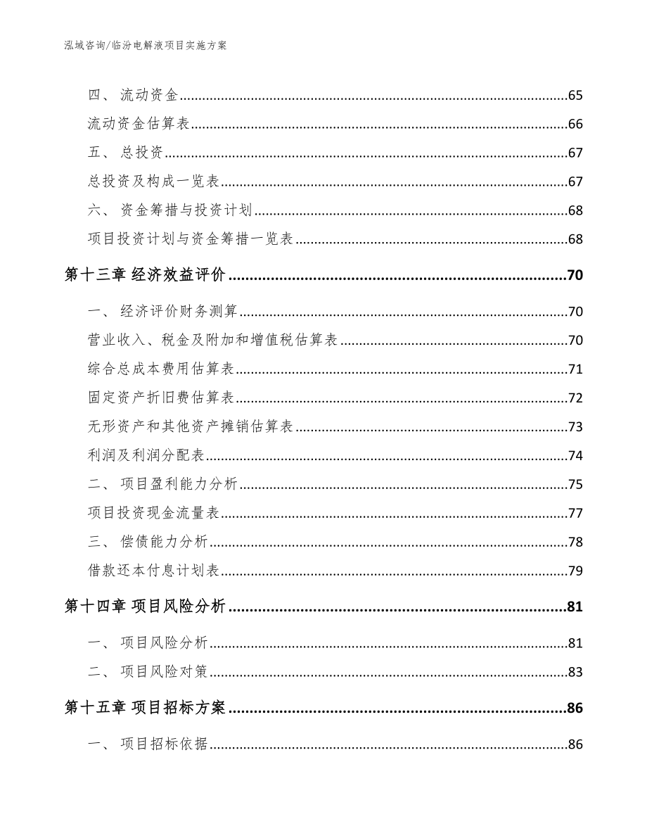 临汾电解液项目实施方案_模板_第4页