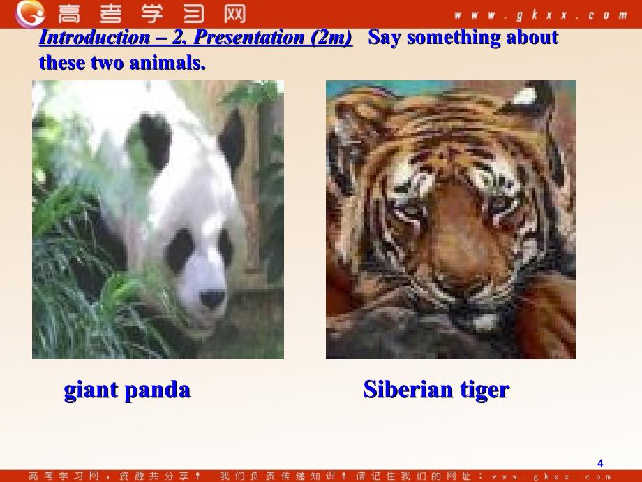 Module 6《Animals in Danger》Introduction and Reading课件4（20张PPT）（外研版必修5）_第4页