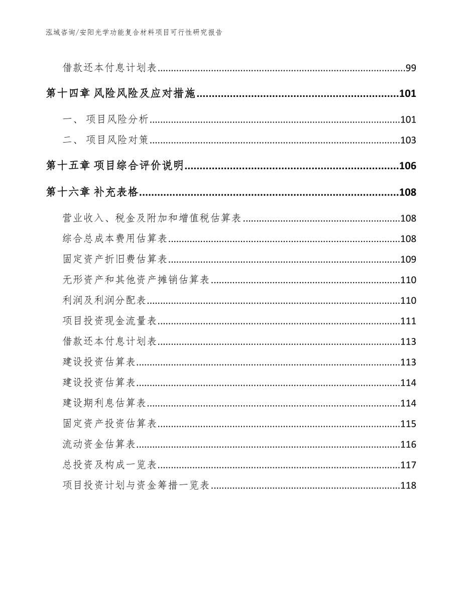 安阳光学功能复合材料项目可行性研究报告_范文_第5页