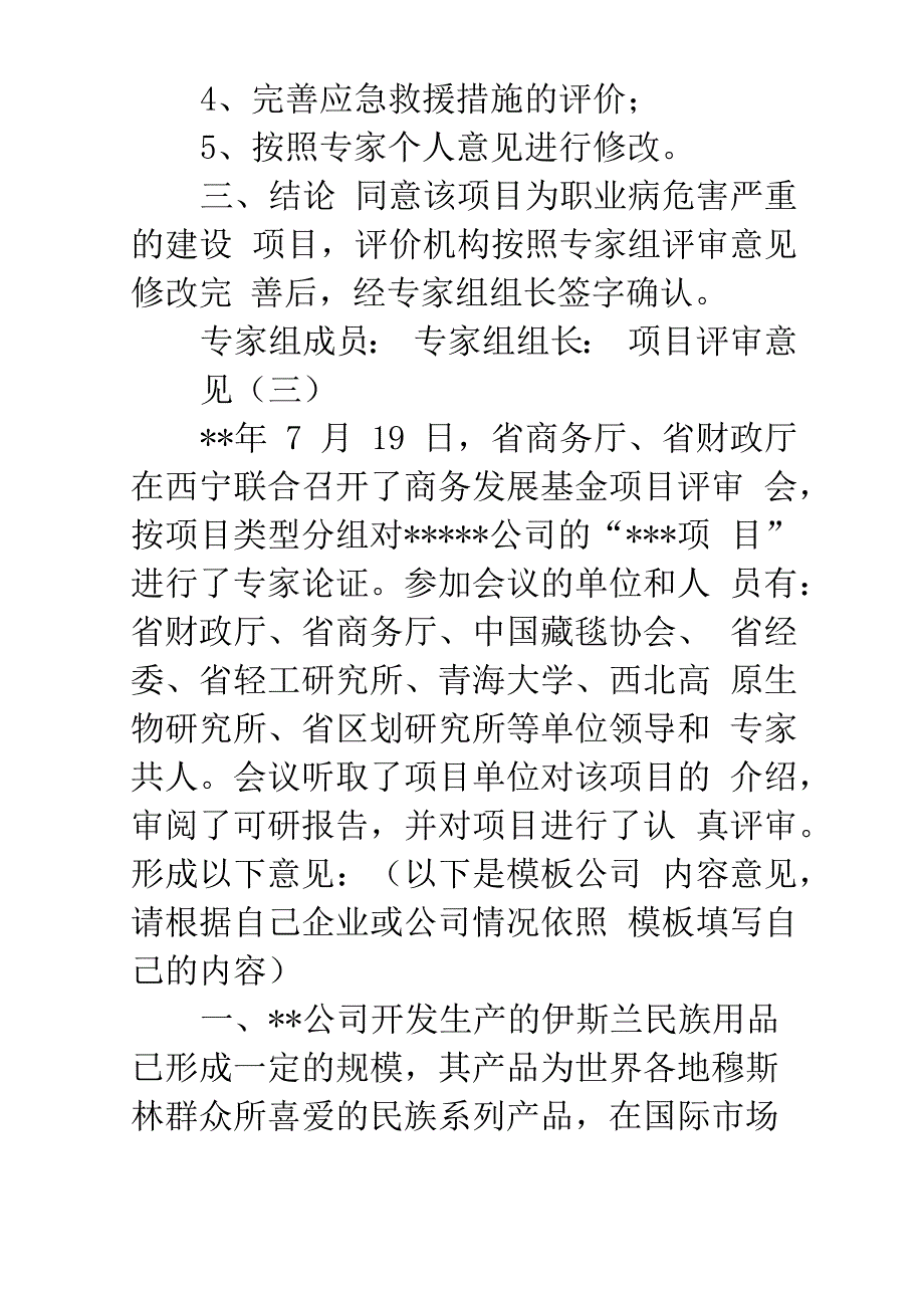 项目评审意见_第3页