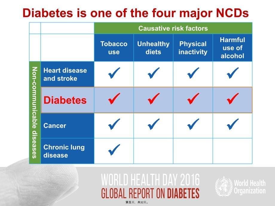 世界卫生组织全球糖尿病报告讲课稿_第5页