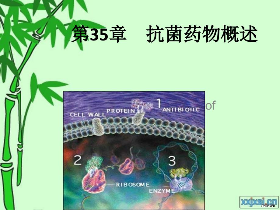 抗菌药概论最新PPT课件_第1页